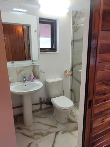 a bathroom with a toilet and a sink at Vila Boutique Cozy in Nucşoara