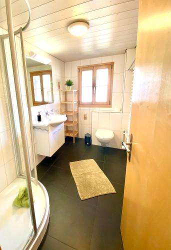 a bathroom with a shower and a sink and a toilet at Apartments Chalet Tatyana in Leukerbad
