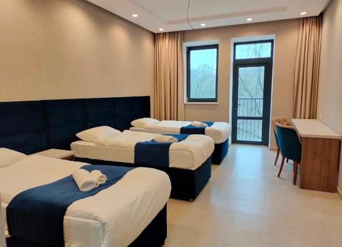 a room with four beds and a desk and windows at Or Haganuz in Dobrovelychkivka