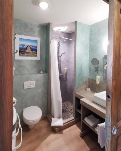 a bathroom with a shower and a toilet and a sink at Des Lits Sur La Place in Hérépian