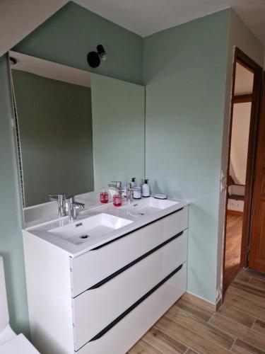a bathroom with a white sink and a mirror at Maison Le Thuau in Sargé-lès-Le Mans