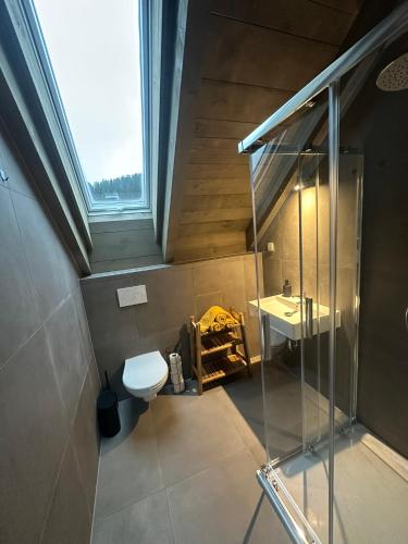 an attic bathroom with a toilet and a sink at Apartmán Vališka in Horní Bečva