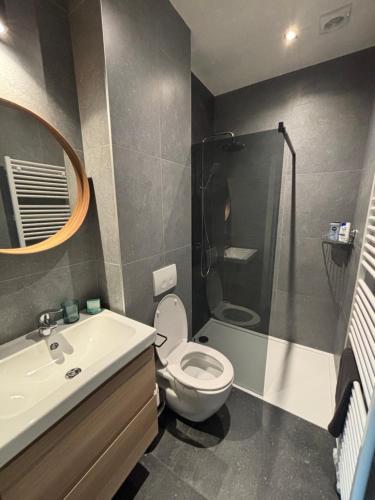 a bathroom with a toilet and a sink and a mirror at Apartment central Lier in Lier