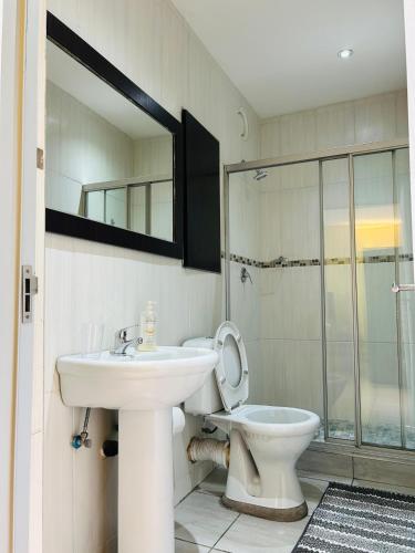 a bathroom with a sink and a toilet and a mirror at Seven Eleven Apartments - Isibaya House in Johannesburg