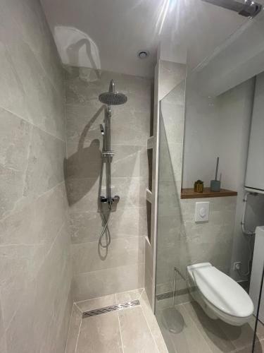 a bathroom with a shower and a toilet in it at Parenthèse au Gué des Archers maison climatisée in Saint-Valérien