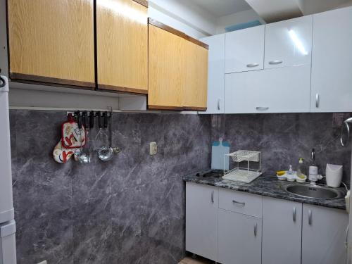 Kuhinja ili čajna kuhinja u objektu Ana Apartment