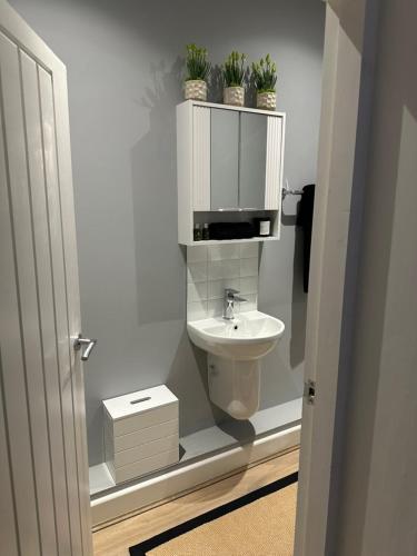 a bathroom with a sink and a mirror at Riverview Apartment 2 in Matlock