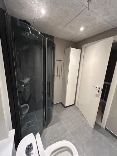 a bathroom with a shower stall and a toilet at Grønningen Retreat in Billund