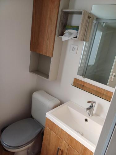 a small bathroom with a toilet and a sink at Le ptit Galet 462 in La Tremblade