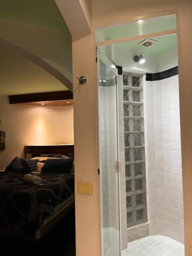 a bedroom with a bed and a glass shower at Hotel Las Flores in Xalapa