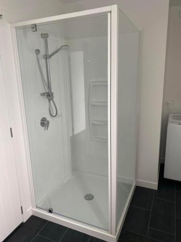 a shower with a glass door in a bathroom at Pukutahi Palms in Te Anau