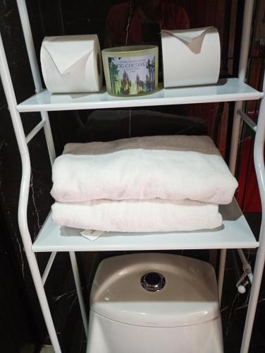 a shelf with towels and a toilet in a bathroom at Cabaña cielo celeste in Rio Celeste
