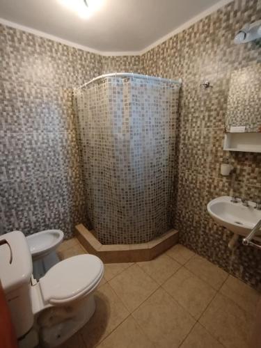 a bathroom with a toilet and a shower and a sink at La Serena Cabañas in Potrero de los Funes