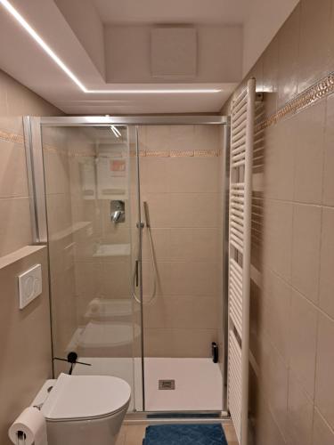 a bathroom with a shower and a toilet at Borgo Piccolo in Imola