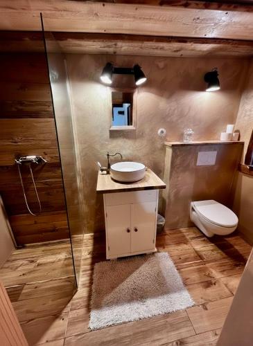 a bathroom with a sink and a toilet at Chalúpka na kopčeku in Zuberec