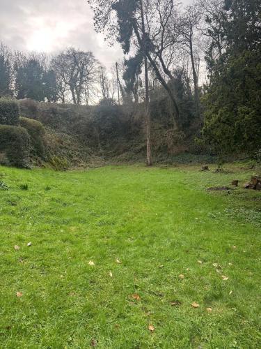 a field of green grass with a tree in the background at Spacious apartment in Leigh woods in Bristol
