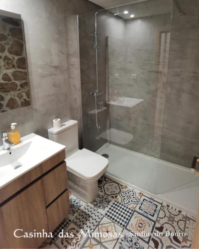 a bathroom with a shower and a toilet and a sink at Casinha das Mimosas in Sanfins do Douro