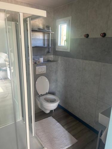a bathroom with a toilet with a window and a shower at Gîte de la Vigne in Ley