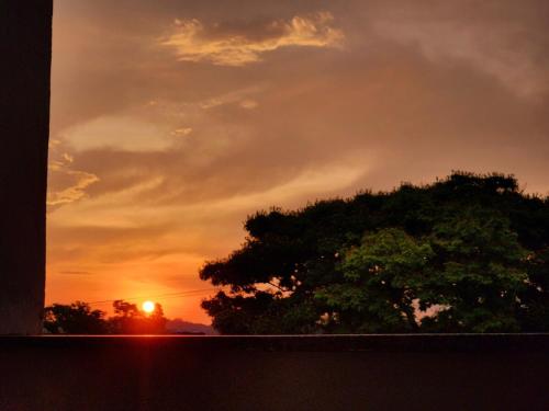 a tree with a sunset in the background at Pousada Dinhá Chica perto de Tiradentes e Bichinho in São João del Rei