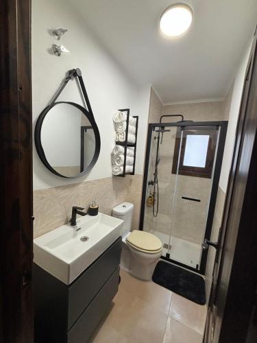 a bathroom with a toilet and a sink and a mirror at El Castaño in Guisando