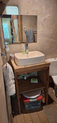 a bathroom with a sink and a mirror and a toilet at Casa ecologica artesanal in Santa Ana