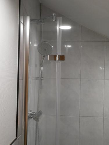 a shower with a glass door in a bathroom at Le Clocher, nice warm and comfortable nest in Sierentz