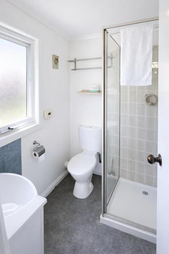 a bathroom with a toilet and a glass shower at The Dannebrog Lodge in Devonport