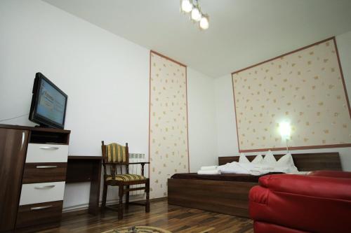 a bedroom with a bed and a tv and a chair at Pensiunea Eden in Băile Olăneşti