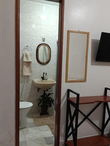 a bathroom with a sink and a mirror and a toilet at Pousada Pedra das Amazonas in Parintins