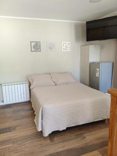 a bedroom with a bed and a refrigerator at Hospedaje Costanera del Sol in La Adela