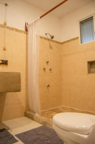 a bathroom with a toilet and a shower at Casa X'Lapac in Valladolid