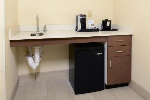 a kitchen with a counter with a sink and a refrigerator at Holiday Inn Express & Suites Raleigh Durham Airport at RTP by IHG in Durham