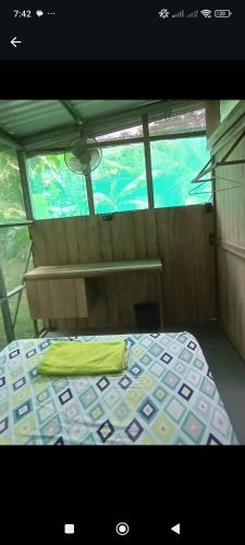 a bed in the center of a boat with a window at Alouatta Lodge and Canopy in Cahuita