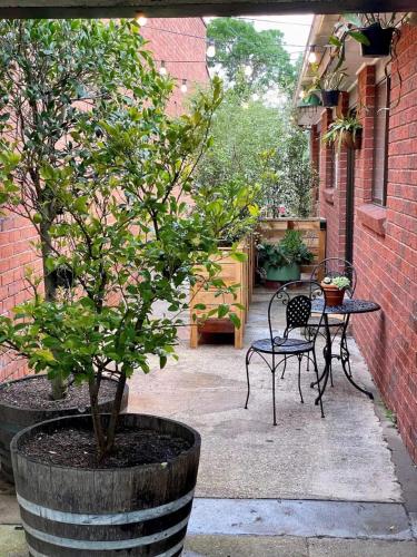 a patio with a table and a chair and a tree at Lydiard General Cafe Delight in Ballarat