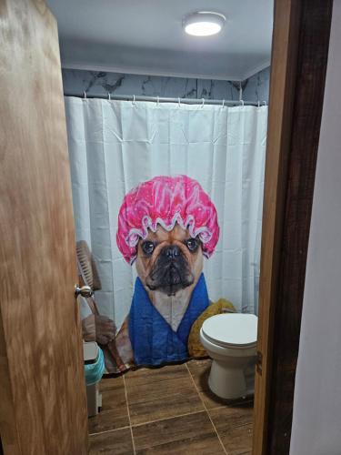a pug dog in a bathroom with a shower curtain at Casa en Panguipulli in Neltume