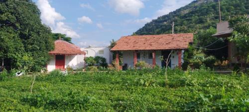 two small houses in a field with a mountain at Aalamaram Farm in Anchetti
