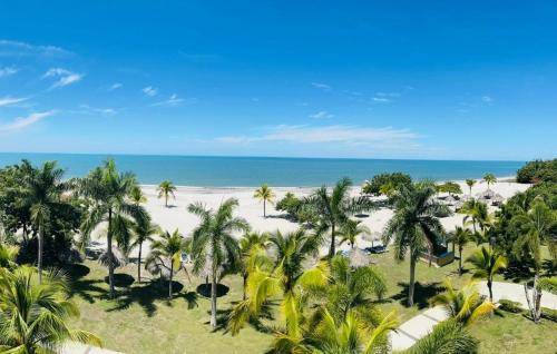 an aerial view of a beach with palm trees and the ocean at Nikki Beach Oceanfront Penthouse in Río Hato