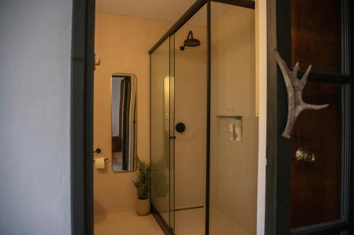 a bathroom with a glass shower and a mirror at Casa Nopal in Punta del Este