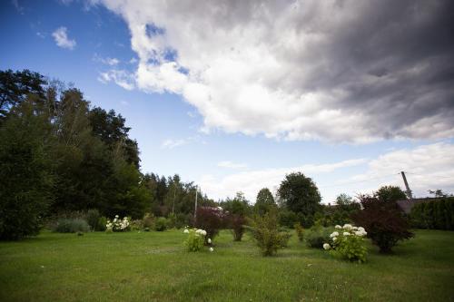a field with flowers and trees and a cloudy sky at Pokoje Gościnne Na Skraju Puszczy in Pogorzelce