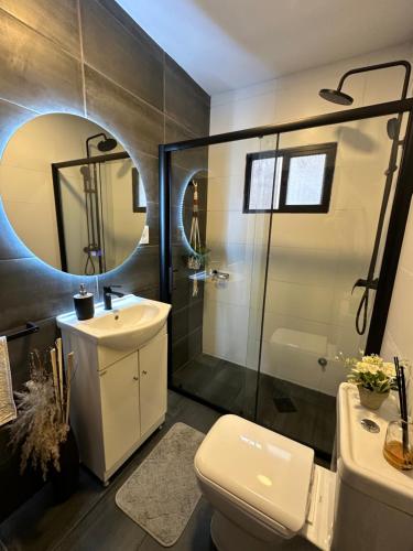 a bathroom with a toilet and a sink and a mirror at Casa independiente con estufa a leña in Minas