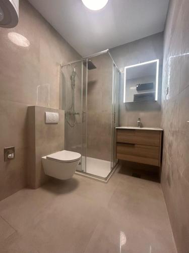 a bathroom with a shower and a toilet and a sink at Apartmani Ferri 1 in Vrbanj