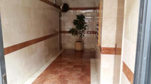 Pasarela Apartment photo 22