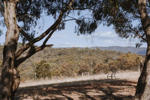 a bench in the middle of a field with trees at Tallarook Hilltop Tiny House 3 by Tiny Away in Tallarook
