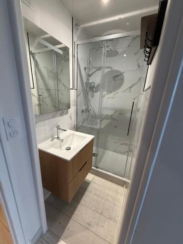 a bathroom with a sink and a shower at Le Panoramique in Saint-Parize-le-Châtel