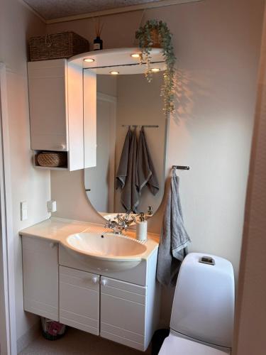a bathroom with a sink and a mirror and a toilet at Glentevej idyl in Assens