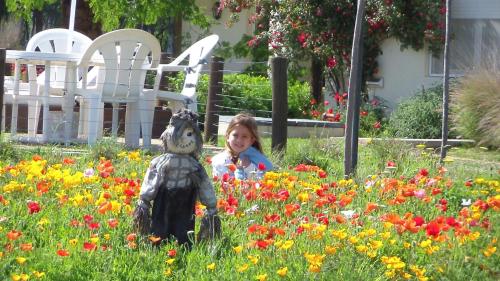 a little girl standing in a field of flowers at Hotel Boutique Posada Piedras Blancas in Santa Rosa