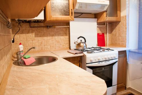 eine kleine Küche mit einer Spüle und einem Herd in der Unterkunft Zankovetska,6 Street in Uschhorod