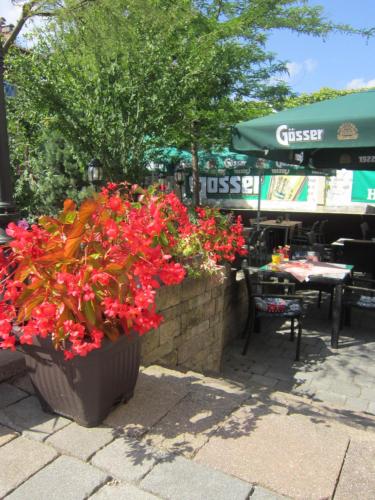 two large pots of red flowers on a patio at Guest House Veronika in Kočevje