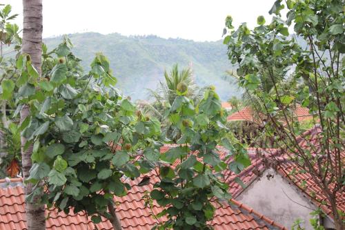 Landskap semula jadi dekat dengan homestay