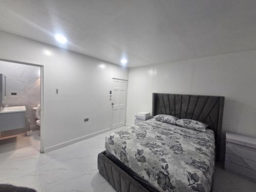 Philips Scott House Calinago